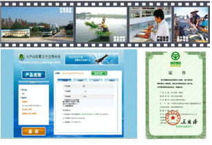 草魚(yú)提質(zhì)減排關(guān)鍵技術(shù)研發(fā)與產(chǎn)業(yè)化應(yīng)用 榮獲水科院科技進(jìn)步一等獎(jiǎng)